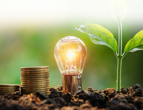 Energia regenerabilă în lume: știrile lunii octombrie